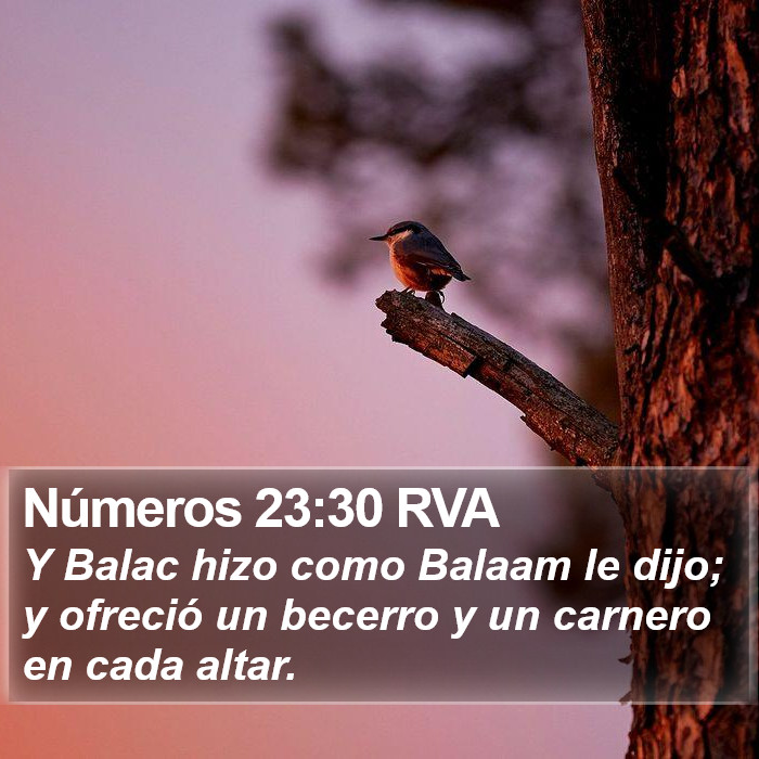 Números 23:30 RVA Bible Study