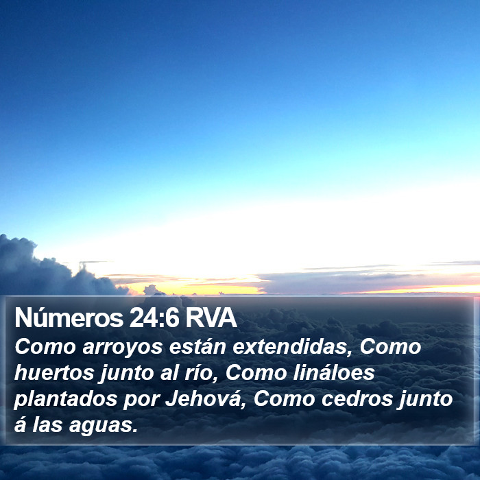 Números 24:6 RVA Bible Study