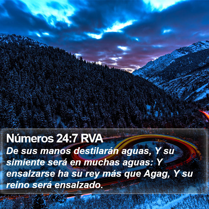 Números 24:7 RVA Bible Study