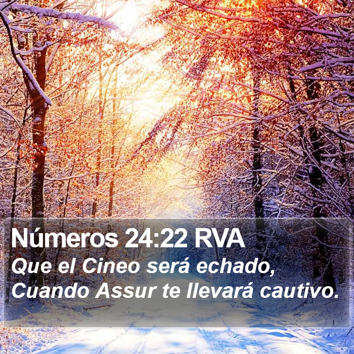 Números 24:22 RVA Bible Study