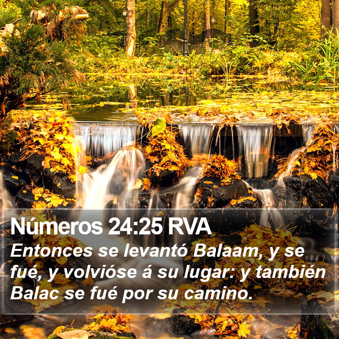 Números 24:25 RVA Bible Study