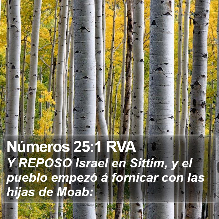 Números 25:1 RVA Bible Study