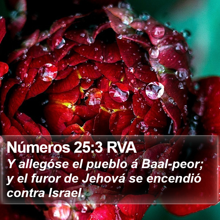 Números 25:3 RVA Bible Study