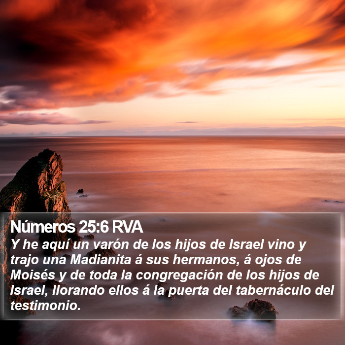 Números 25:6 RVA Bible Study