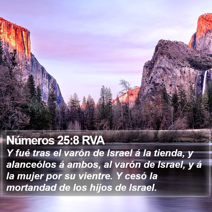 Números 25:8 RVA Bible Study