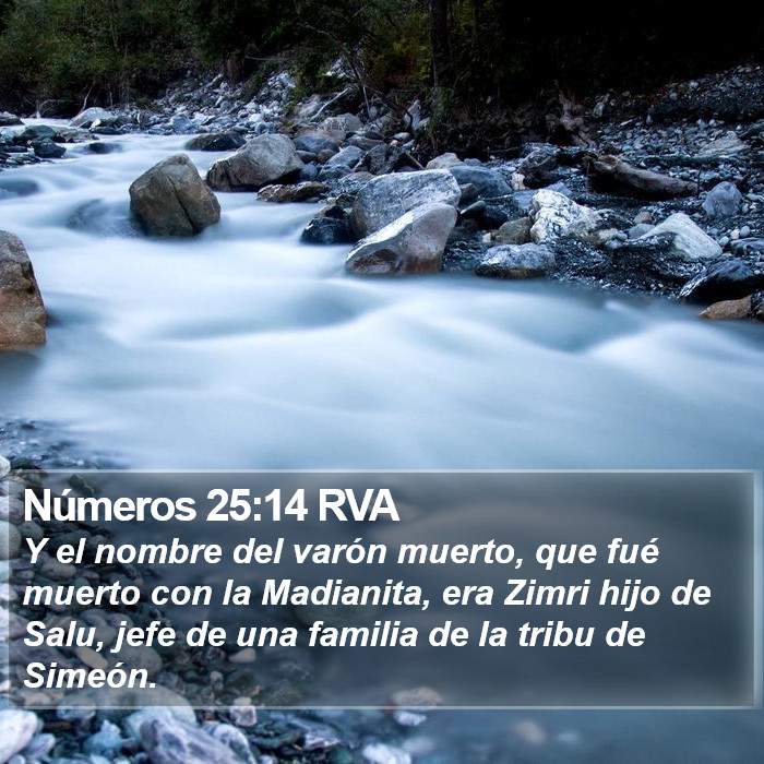 Números 25:14 RVA Bible Study