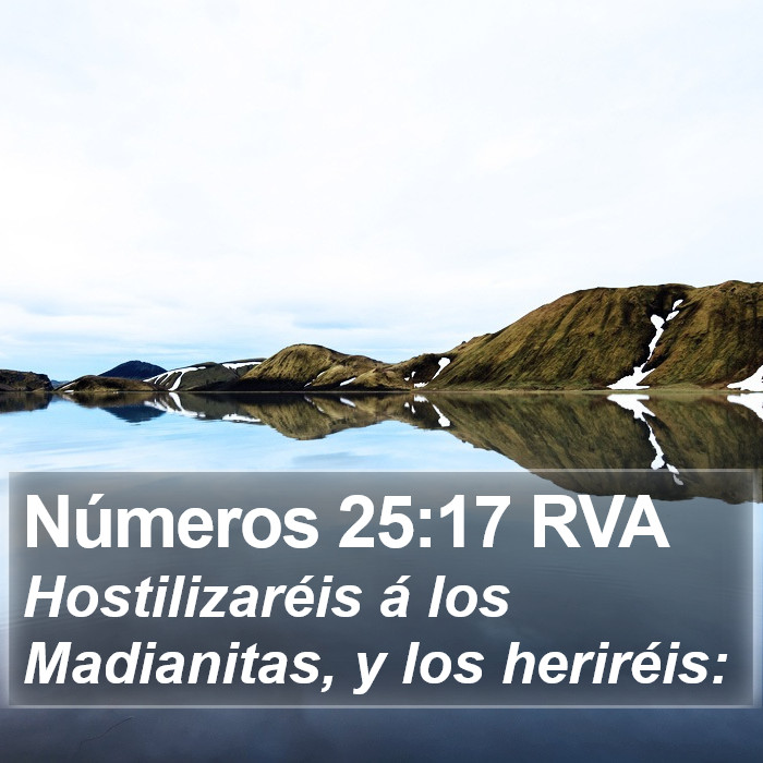 Números 25:17 RVA Bible Study