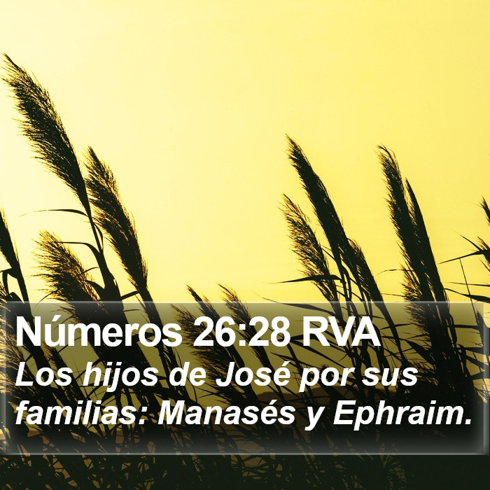 Números 26:28 RVA Bible Study