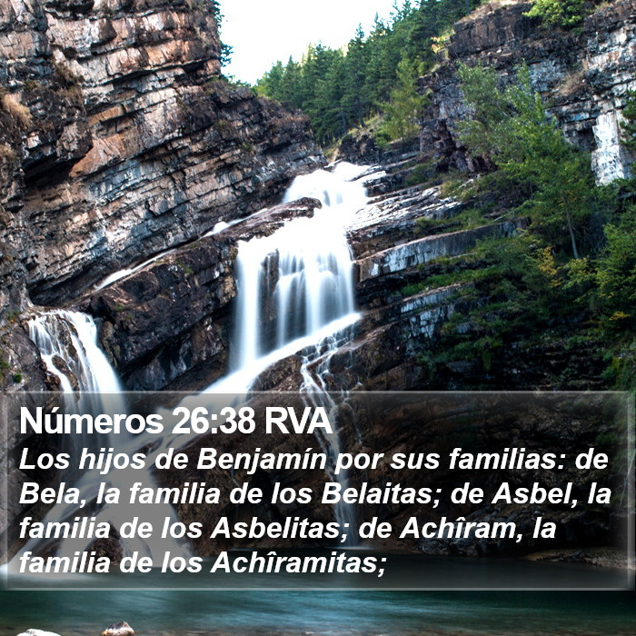 Números 26:38 RVA Bible Study