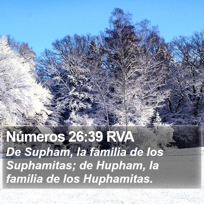 Números 26:39 RVA Bible Study