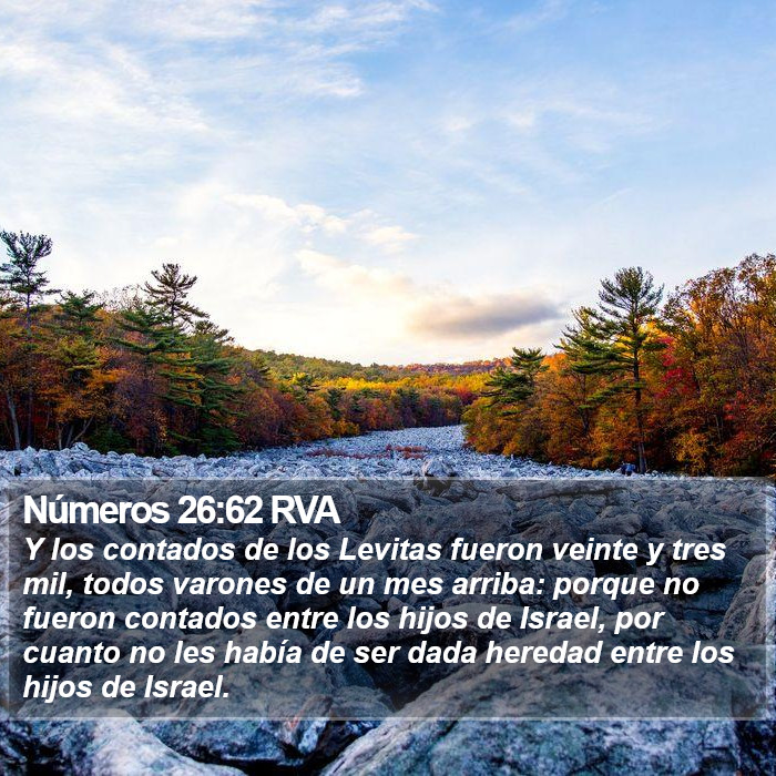 Números 26:62 RVA Bible Study