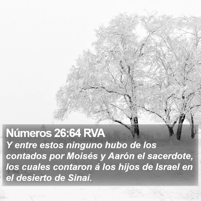 Números 26:64 RVA Bible Study