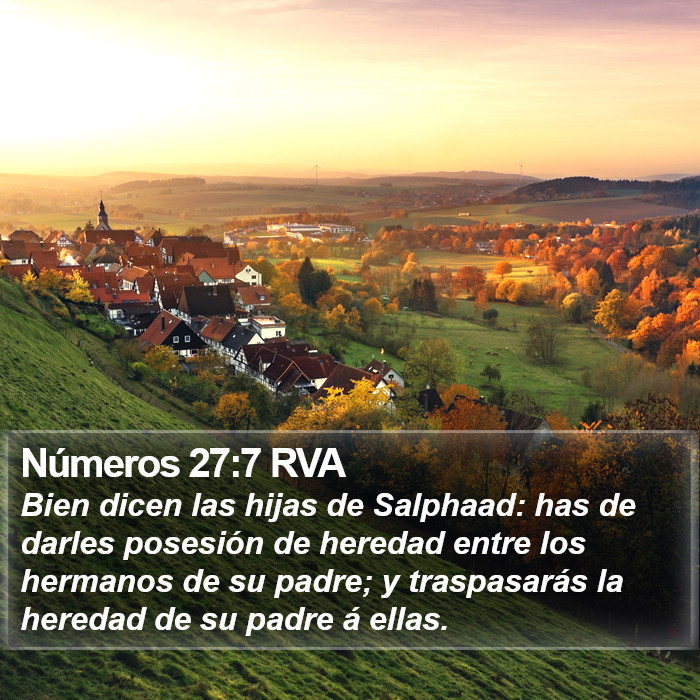 Números 27:7 RVA Bible Study