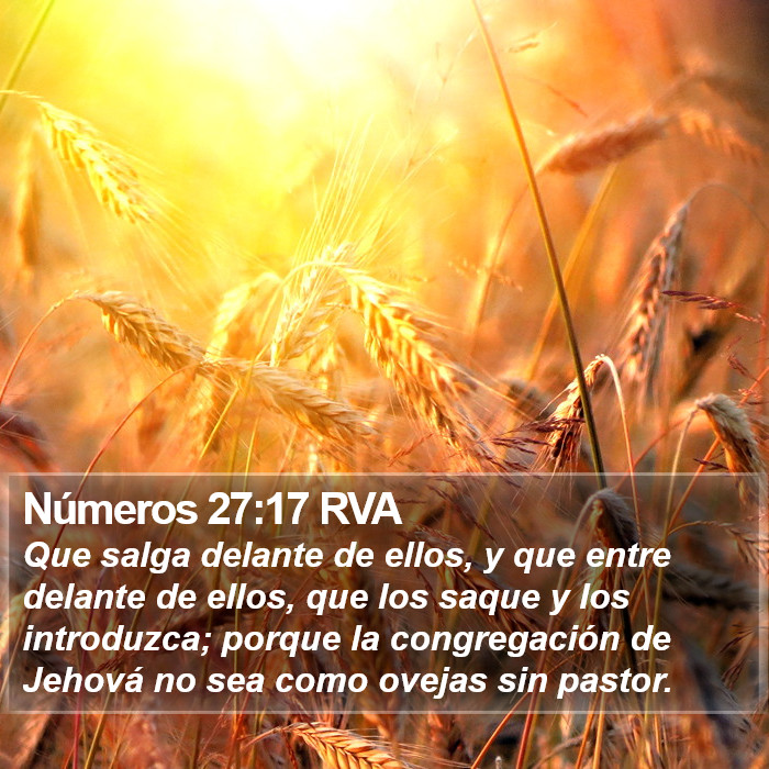 Números 27:17 RVA Bible Study