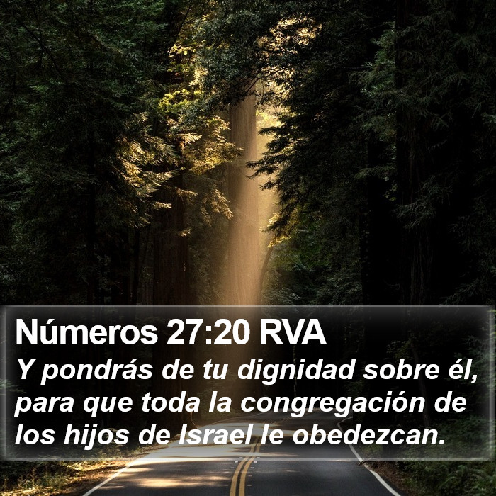 Números 27:20 RVA Bible Study