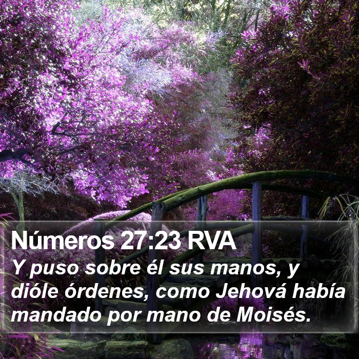 Números 27:23 RVA Bible Study