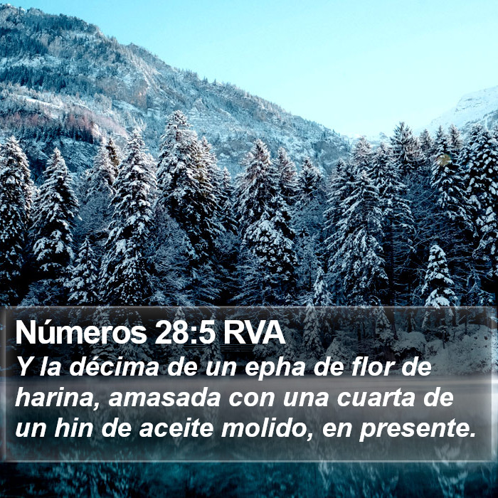 Números 28:5 RVA Bible Study