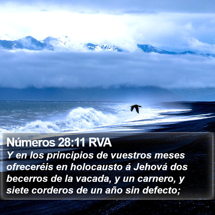 Números 28:11 RVA Bible Study