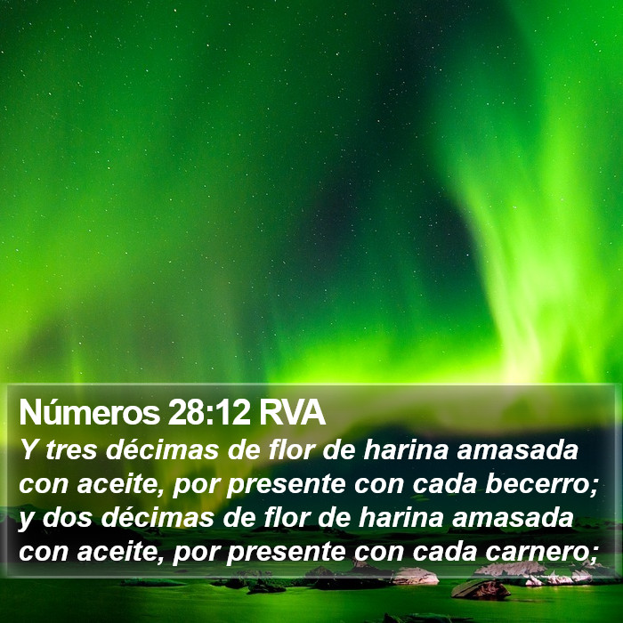 Números 28:12 RVA Bible Study