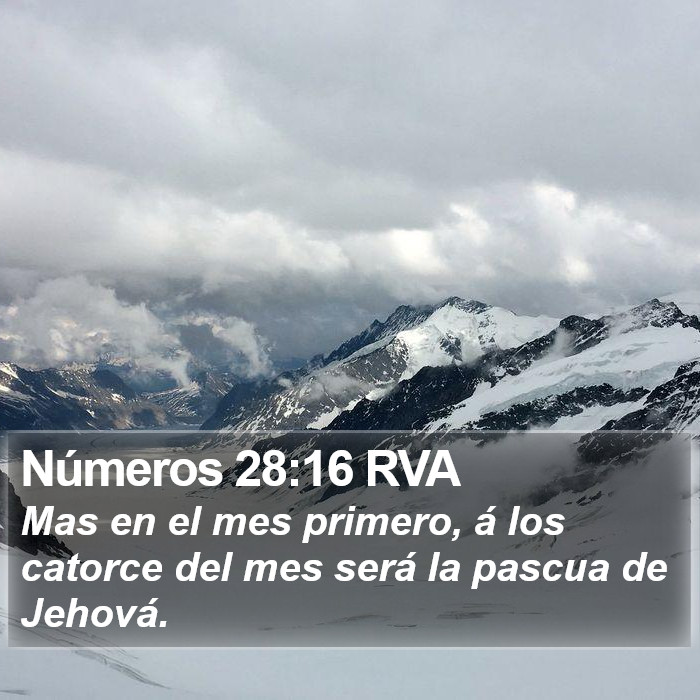 Números 28:16 RVA Bible Study