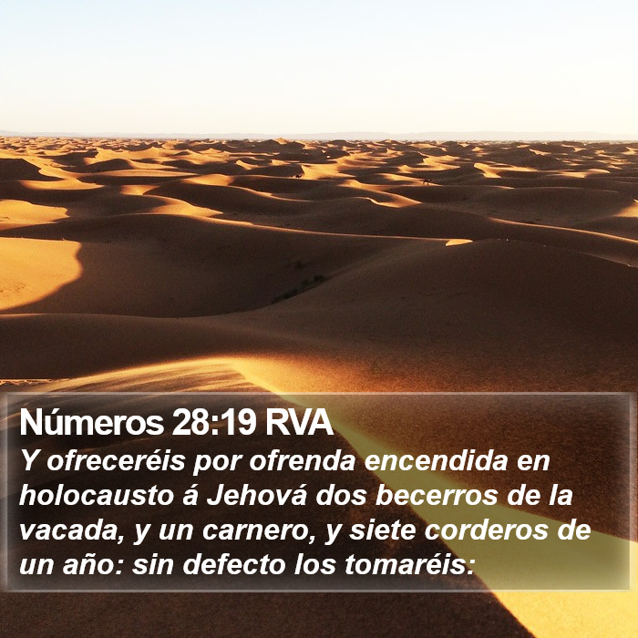 Números 28:19 RVA Bible Study