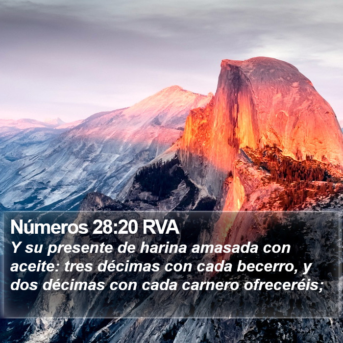 Números 28:20 RVA Bible Study