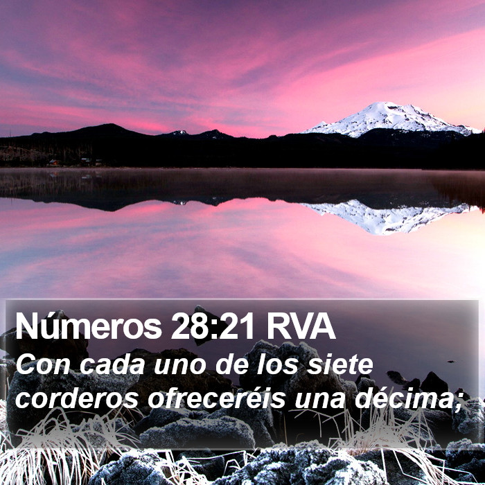 Números 28:21 RVA Bible Study