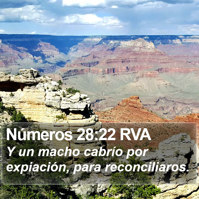 Números 28:22 RVA Bible Study