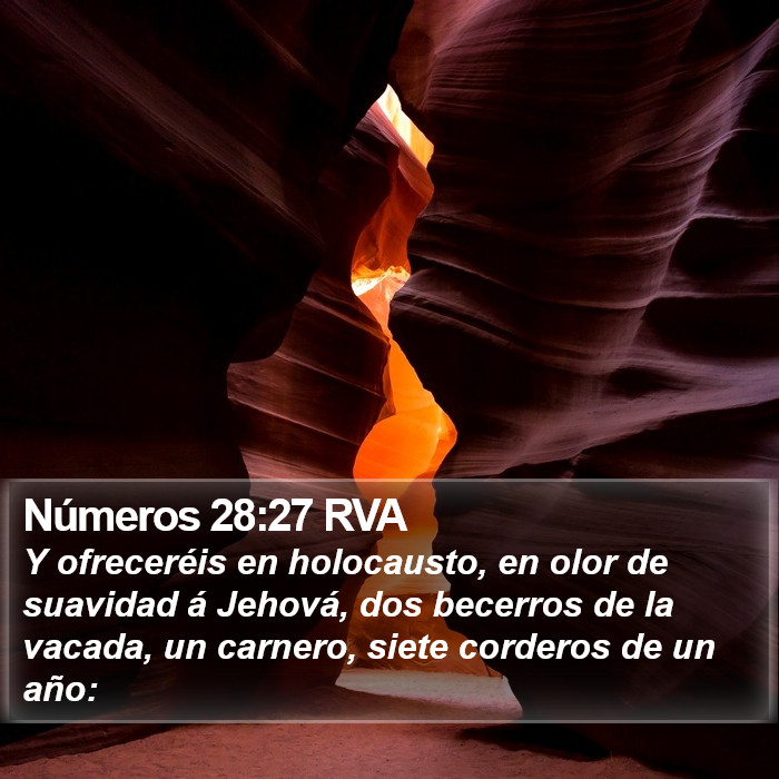 Números 28:27 RVA Bible Study