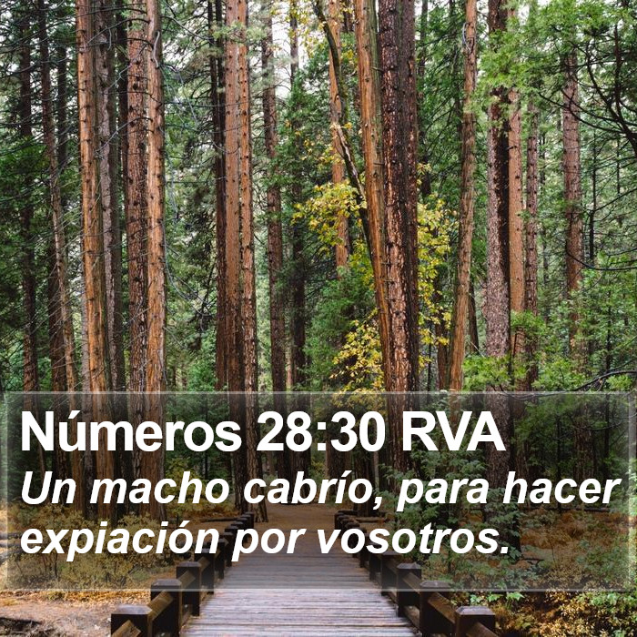 Números 28:30 RVA Bible Study