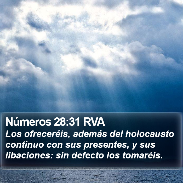 Números 28:31 RVA Bible Study