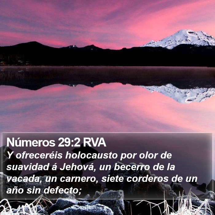 Números 29:2 RVA Bible Study