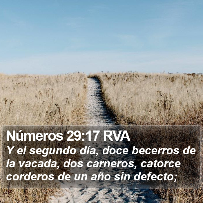 Números 29:17 RVA Bible Study