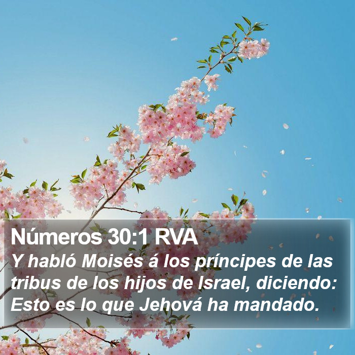 Números 30:1 RVA Bible Study