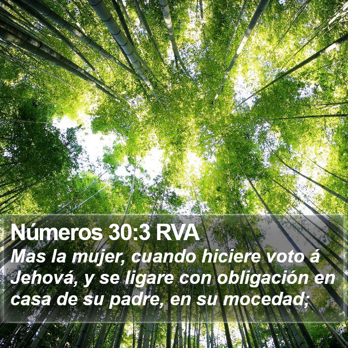 Números 30:3 RVA Bible Study