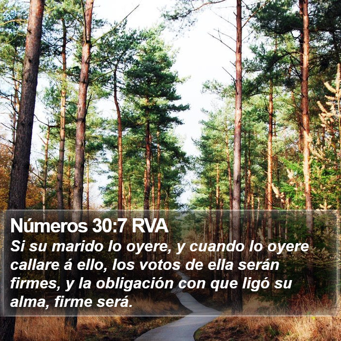 Números 30:7 RVA Bible Study