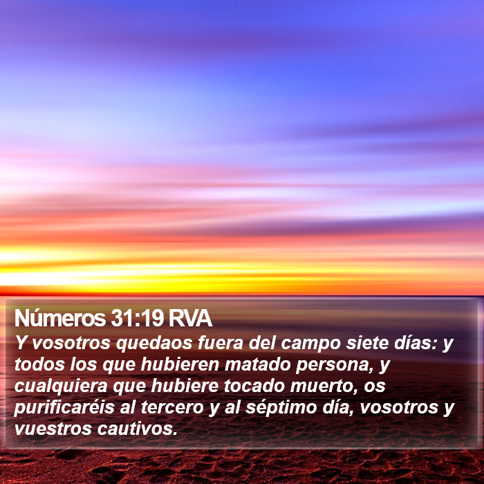 Números 31:19 RVA Bible Study