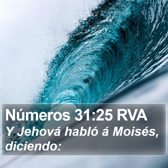 Números 31:25 RVA Bible Study