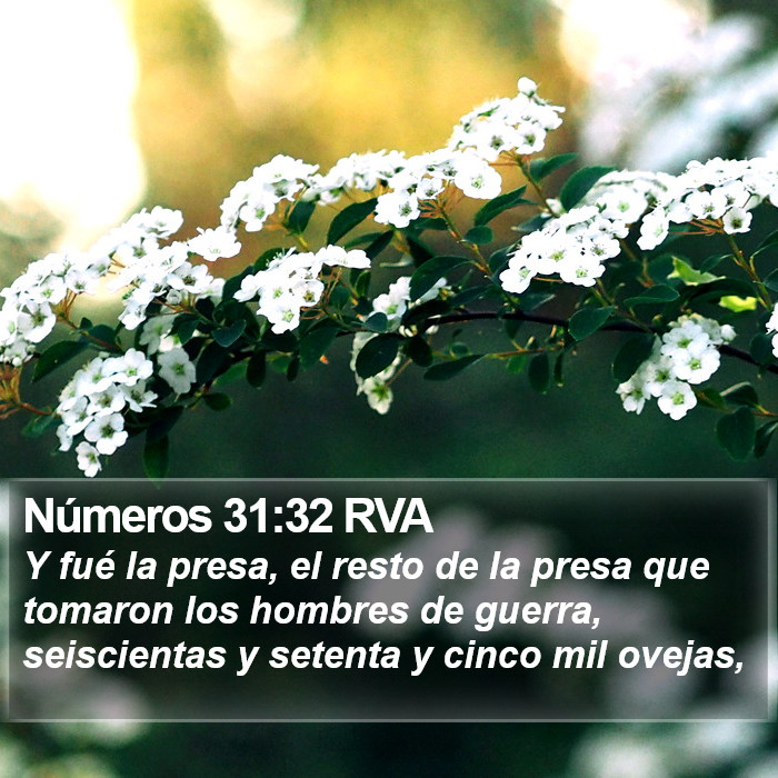 Números 31:32 RVA Bible Study