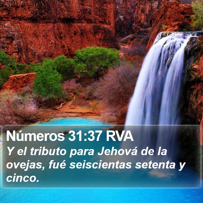 Números 31:37 RVA Bible Study