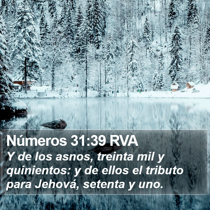 Números 31:39 RVA Bible Study