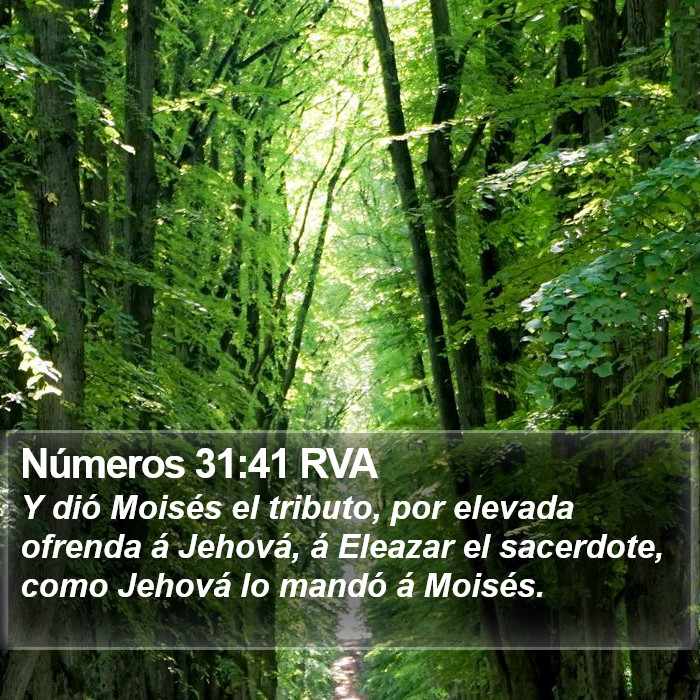 Números 31:41 RVA Bible Study