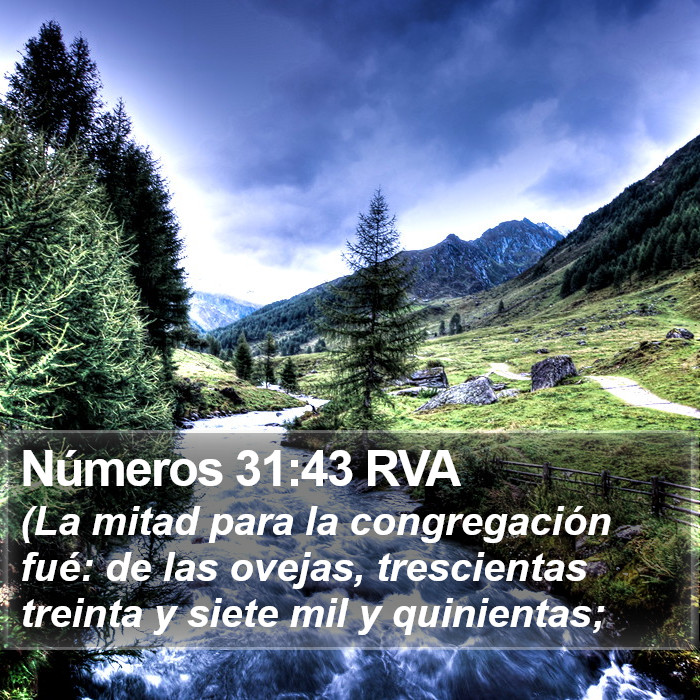 Números 31:43 RVA Bible Study