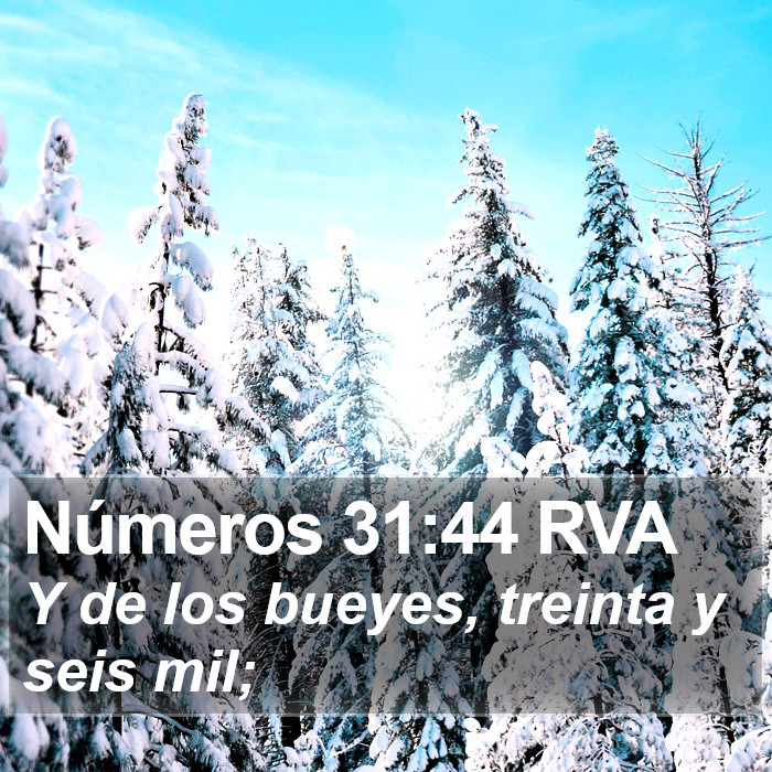 Números 31:44 RVA Bible Study