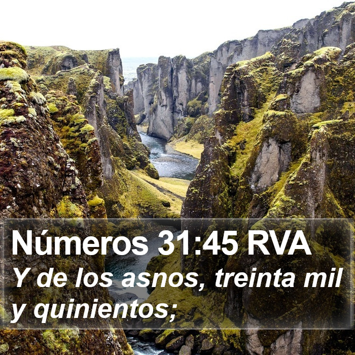 Números 31:45 RVA Bible Study