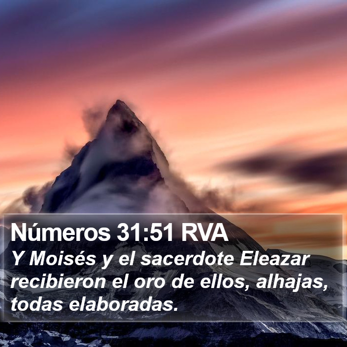 Números 31:51 RVA Bible Study