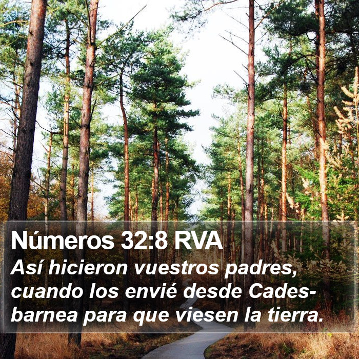 Números 32:8 RVA Bible Study