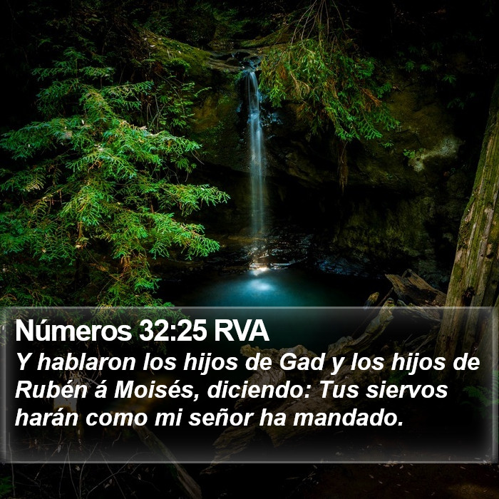 Números 32:25 RVA Bible Study