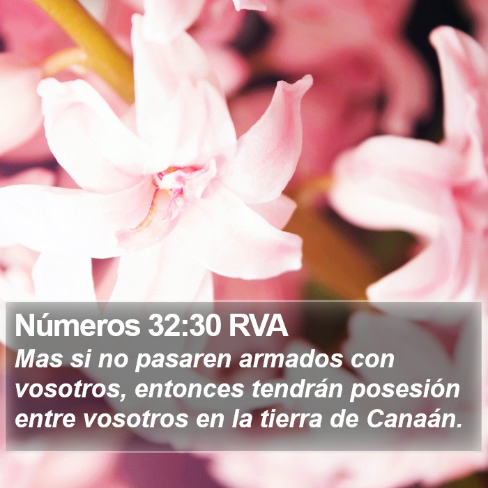 Números 32:30 RVA Bible Study