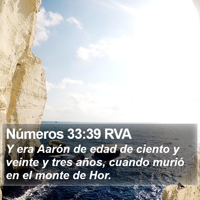 Números 33:39 RVA Bible Study